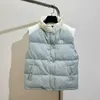 Kvinnors västar designer Autumn/vinter kontrasterande lädermärke Down Vest Glne