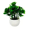 Dekorativa blommor Plastiska konstgjorda icke-blekande simuleringsplantor Bonsai 1 Set Chinese Rose Fake for Decorating