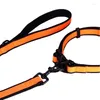 Dog Collars Collar And Leash Set With Safety Locking Buckle Nylon Pet Adjustable For Medium Large Dogs