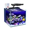 Éclairages Epochshine Aqua Star G5 LED lumière d'aquarium 95W éclairage d'eau salée avec lever et coucher de soleil pour réservoir d'eau salée de récif de corail