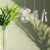 Vasen, 3 Stück, Glas, zum Aufhängen, klare Hydrokultur-Pflanzgefäße, Glühbirne, Heimdekoration, Blumen-Wasserbehälter