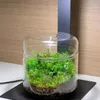 Micro Landscape زجاجات زجاجية الإبداع Dew Collection Glass Glass Moss Moss Bansai Glass Glass Decor