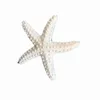 Resina simulazione stella marina decorazione stella marina mediterranea acquario ornamenti matrimonio sabbia decorazione tavolo fotografia puntelli accessori fai da te P254