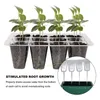 Grow Lights SV-10 Pack Frö Starter Trays Plant Gerination Kit med fuktighet Justerbar kupol och bas inkluderar såddfrön dispenser