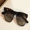 Gold Havana Brown Shaded Square Sunglasses Men Sun Glasses Lunettes de soleil Sonnenbrille top quality with Case Box258F