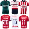 23 24 Chivas CD Guadalara Soccer Jerseys A.Vega I.Brizuela E.Gutierrez C.Calderon A.Zaldivar Aarado F.Beltran J.IAS 2023 2024 Home Away