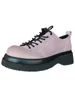 Jurk Schoenen Mary Jane Leer Voor Vrouwen 2024 Lente Dikke Bodem Zoete Koele Roze Lace-up Casual College Stijl zapatos Mujer