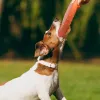 おもちゃ犬のおもちゃフライディスクソフトエヴァ抵抗性噛むフローティングトイ