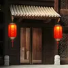 Chinese Year Lantern 2024 Decoration Red Hanging Traditional Spring Festival Lanterns Door 240119