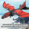 Z60 RC Plane 24G Simulated Flying Dragon Aircraft Remote Control Model Glider Airplane EPP Foam Toys For Children Gifts 240118