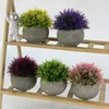 Decoratieve Bloemen Valse Planten Ingemaakte Mini Nep Bonsai Kunstmatige Pot Tuinarrangement Tafel Decor Ornamenten Thuis