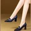Pointed Toe Single Shoes Women Spring Comfortable High-heeled Women's Shoes Thick Heel Small Leather Shoes Women Heels 240118