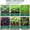 Grow Lights SV-10er-Pack Samen-Starterschalen, Pflanzenkeimungsset mit feuchtigkeitsverstellbarer Kuppel und Sockel, inklusive Samenspender für die Aussaat