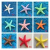 Resin simulation starfish Mediterranean starfish decoration fish tank ornaments wedding sand table decoration photography props DIY accessories P254