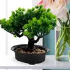 装飾的な花プラスチック盆栽小さな偽の松の机のキャビネット装飾人工木
