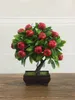 Decorative Flowers Emulational Fruit Potted Pine Tree Bonsai Living Room Green Plant Fake Flower Decoration