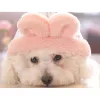 Apparel Hoopet Pet Puppy Cute Lovely Dog Coats Jacket Warm Fleece Autumn/Winter Bichon Frise Teddy Dog Cat Costumes kläder