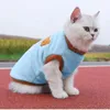 Costumi per gatti Gilet solidi caldi invernali Simpatico cartone animato Gattino Abbigliamento Autunno All'aperto Viaggi Articoli per animali Moda Morbido e confortevole