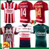 23 24 Chivas de Guadalaraサッカージャージ2023 2024 3rd Liga MX C. Cowell A.Zaldivar Calderon J.Ias Chicharito