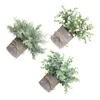 Flores decorativas 3 pacotes de folhas cinzentas geladas em vasos de plantas exclusivas para decoração de casa elegante feita de meio ambiente