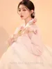 Scene Wear Water Daily Hanboks Passar Kvinnaklänningar Performance Clothes Pography Set Kläder Korean Princess Pink Costumes Female