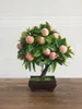 Decorative Flowers Emulational Fruit Potted Pine Tree Bonsai Living Room Green Plant Fake Flower Decoration