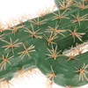 Fleurs décoratives modèles de cactus ornement parrain simulé plante plante succulente jardinières artificielles décor