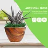 Fleurs décoratives mousse réaliste artificielle Faux espagnol Floral vert plantes d'intérieur Lichen