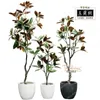 Decoratieve bloemen Simulatie Magnoliaboom Binnenmodel Kamer Leven Raster Zen Vloer Groene plantdecoratie