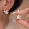 Studörhängen dodo känslig kvinnors pärla örhänge glittrande zirkon koreanska smycken brud bröllopstillbehör romantisk trendig lady brincos