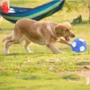 Giocattoli per animali domestici, giocattolo da calcio, masticazione per cani, peluche, suono di squittio, morbido morso, resistente, a forma di palla, gioco di addestramento interattivo per cani di grandi dimensioni, forniture per cani