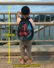 Carrier 13 Inch Kawaii Pocket Dog Cat Children School Bags Kids Kindergarten Bag Cute Kitten Puppy Schoolbag Boys Girls School Backpacks