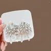 Dangle Oorbellen 2024 Eersteklas Unieke Creatieve Kristallen Kwastje Zilveren Naald Voor Dame