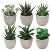 Decorative Flowers Artificial Succulent Potted Office Desktop Home Balcony Decoration Simulation Environmental Green Plant Florist Window