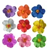 Bandanas 9 pièces décor fleur pinces à cheveux Plumeria fleurs hawaïennes pour décorations en épingle à cheveux vacances