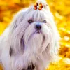Hundkläder 100st Fall Hair Bows Thanksgiving Rubber Bands for Dogs Festival Grooming Accessories Small