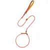 Hundhalsar leder för promenader Pet Traction Rope Double Limit Design Outdoor Training Tool Small Medium och Large Dogs