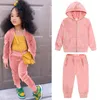 Conjuntos de roupas 2 pcs crianças meninos meninas veludo hoodies outfits criança bebê inverno manga longa moletom moletom tracksuit crianças conjunto