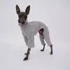 Kläder små hundkläder hösten och vinter mjuk fyrhundade hundkläder italienska greyhound kläder hund tillbehör hund botten skjorta skjorta