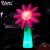 wholesale Des fleurs gonflables décoratives artisanales exquises ajoutent des lumières LED, des jouets, des plantes artificielles d'inflation sportive pour la décoration d'événements de fête