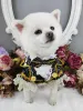 Sets Handmade Dog Clothes Handsome Pet Jacket Suit Lace Cuff Shirt TwoPiece European Palace Prince Wedding Costume Holiday Party