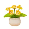 Decorative Flowers Long-lasting Artificial Fake Potted Plant Handmade Gradient Forget Me Not Mini For Home Car Decoration Women