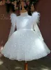 sequined White girl pageant dress First Communion Dresses For Girls 2024 Brand Tulle Lace Infant Toddler Pageant long sleeve Flower Girl Dress Weddings and Birthday