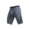 Underpants Men Underwear Boxers Shorts Slim Thin Ice Silk Panties Man Breathable Pouch Middle Long Leg Sexy Lingerie
