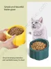 Matare lutande hygien hög temperaturbeständig anti -skrapa smidigt keramisk dolomit kaolin lera katt skål för husdjur dricka och äta