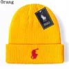 Gute Qualität Neue Designer Polo Beanie Unisex Herbst Winter Beanies Strickmütze für Männer und Frauen Hüte Klassische Sport Schädel Caps Damen Casual z3