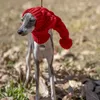 Dog Apparel Whippet Winter Woolen Hat Red Pet Italian Greyhound Christmas Gift With Fur Ball