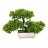 Fiori decorativi Albero bonsai artificiale Giardino Zen Accogliente decorazione per piante in vaso