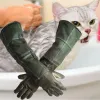 Glove Pet Rękawiczki skórzane przeciwgrasowanie rękawiczki ochronne przeciw ugryzieniu dla psa dla kota i robota ogrodnicza rękawiczki