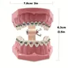 Modelo de dientes de ortodoncia Dental, con tubos de soporte de Metal, demostración de estudio, 1 ud.